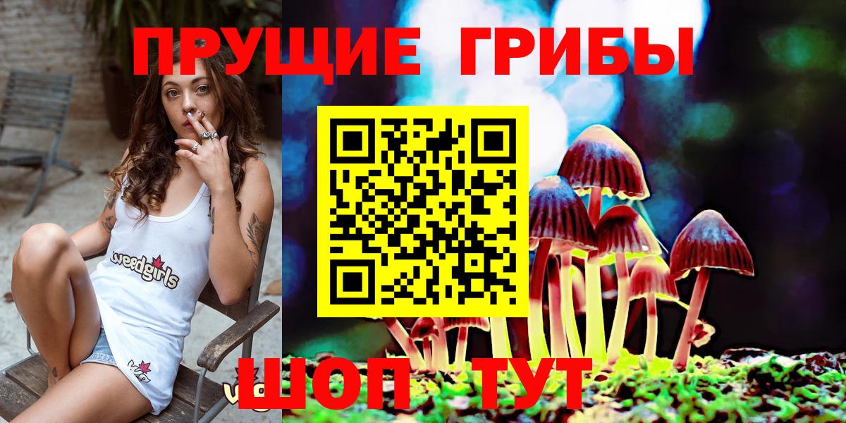 Псилоцибиновые грибы MAGIC MUSHROOMS  Псилоцибиновые грибы ЛСД  Вход с VPN  Бийск 