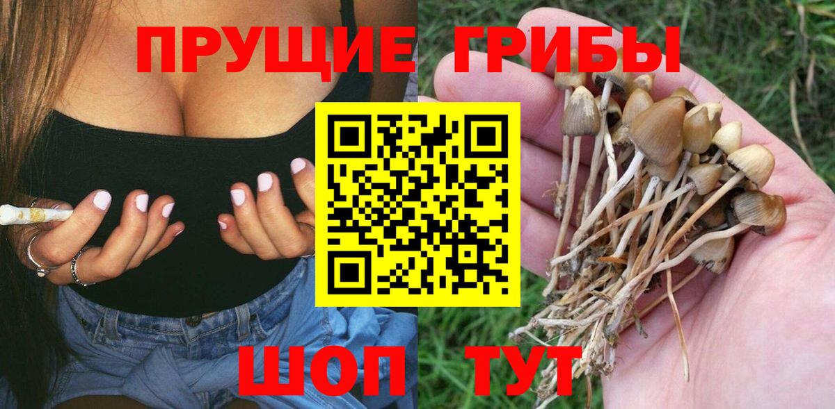Галлюциногенные грибы прущие грибы Бийск